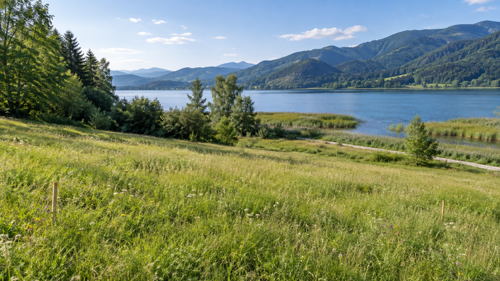 Unbebaute Wiese mit Pflöcken oberhalb eines Sees